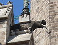 Gàrgola de l'elefant, a catedral de Barcelona i pt:Catedral de Barcelona.