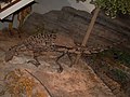 Gargoyleosaurus parkpinorum