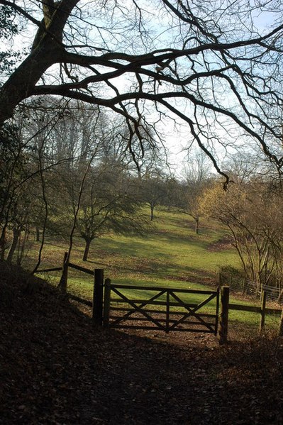 File:Gate into an old orchard, Knightwick - geograph.org.uk - 689137.jpg