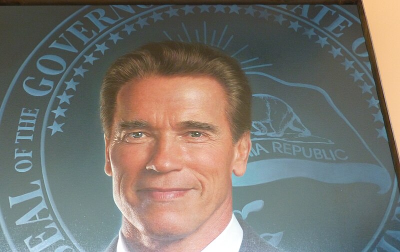 File:Governor Arnold Schwarzenegger's Official Portrait (Governor's Seal Detail), Gottfried Helnwein.jpg