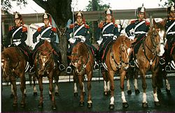 Regimiento De Granaderos A Caballo: Antecedentes, Organización y reclutamiento, Uniforme