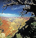 Grand Canyon National Park—The View from Yaki Point