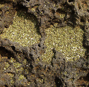 Green sand in lava rocks.jpg