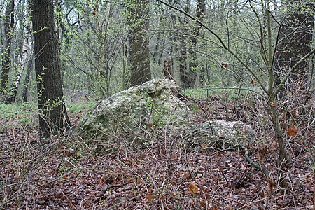 Großsteingrab Brookbäke 2 01