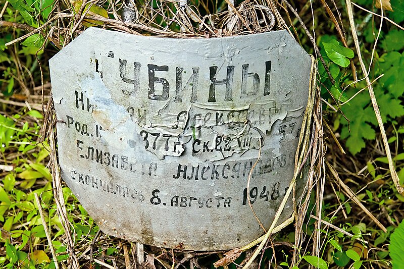 File:Gubin-grave-8970-plate.jpg