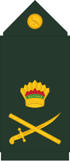 File:Guyana-Army-OF-8.svg