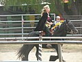 A Gypsy Vanner horse at the Northern California Renaissance Faire in Santa Clara County.