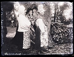 Heinrich Tiidermann. Ruhnu rannarootslased rootsi rahvariietes. Juuni, 1902. Klaasnegatiiv, 9 x 12 cm Fotomuuseum, TLM Fn 9292:50