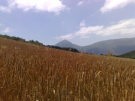 Monte Higa de Monreal