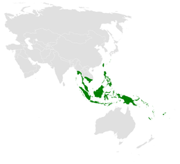 Hirundo tahitica distribution map.png