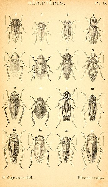 File:Histoire naturelle de la France (14611791004).jpg