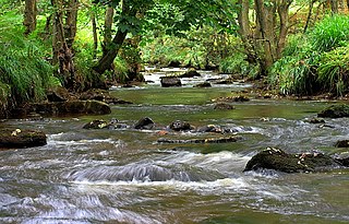 Hodge Beck Stream in North Yorkshire, England