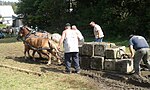 Thumbnail for Horse pulling