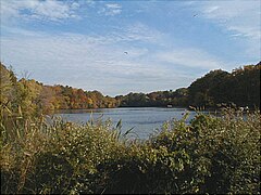 Horseshoe Lake Horseshoe Lake (NCSL).jpg