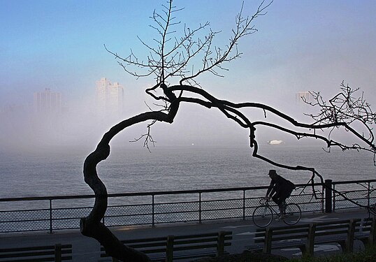 Hudson River Park. Morning bicycle walk along the Hudson River embankment