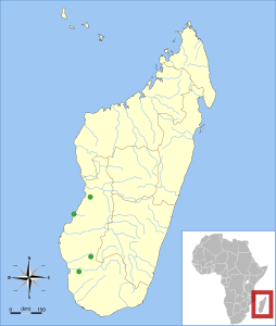 Hypsugo anchietae range Madagascar.svg