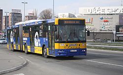 IK-206 des Transportunternehmens Lasta auf der Linie 95
