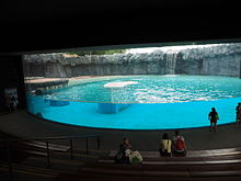 Part of Inuka's enclosure in 2015 Inuka's enclosure in September 2015.jpg