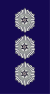 Israel-Police-OF-2.svg