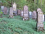 Jüdischer Friedhof Osterberg 13.jpg