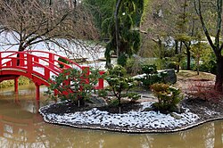 image du jardin japonais sous la neige