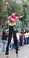 Jester on stilts