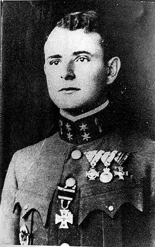 <span class="mw-page-title-main">Karl Patzelt</span> Austro-Hungarian World War I flying ace