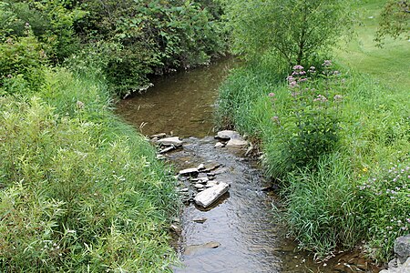 Kase Run looking upstream