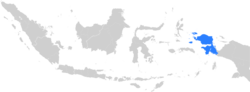 Miniatura para Diócesis de Manokwari-Sorong