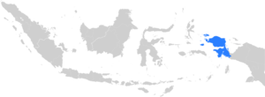 Lokasi Keuskupan Manokwari-Sorong