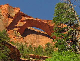 <span class="mw-page-title-main">Kolob Arch</span> Natural rock arch in Utah, United States