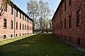 Koncentračný tábor Auschwitz-Birkenau 2017 (33161908653).jpg