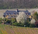 Weingut Falkensteinerhof