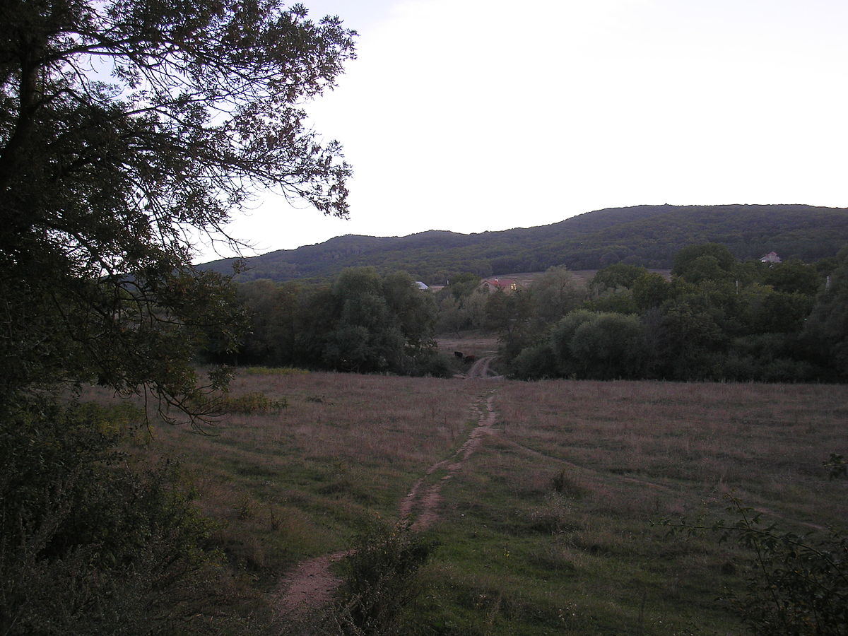 Село лекарственное симферопольский