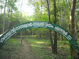 <span class="mw-page-title-main">Chulanur</span> Village in Kerala, India