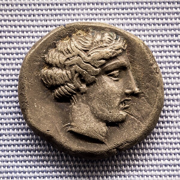 File:Kyme (Campania) - 450-423 BC - silver didrachm - head of Kyme - shell - München SMS.jpg