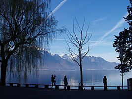 Краєвид Женевського озера з Монтре