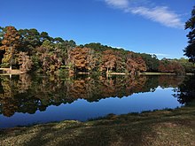 View of Lake Joe, Sea Pines Forest Preserve, Hilton Head Island, SC.