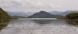 Caleçon du lac -Kisoro. Ouganda (3) .jpg