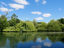 The pond at Priory Gardens is the source of the River Cray. Lakes in Priory Gardens, Orpington (II).jpg