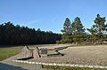 Las Rzuchowski, pozostałości po krematorium