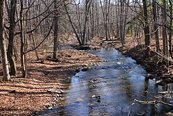 Little Pine Creek 1.JPG