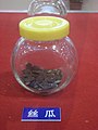 Luffa aegyptiaca seeds in Shenzhou 7.JPG