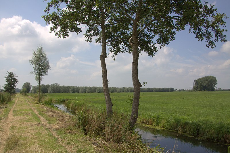 File:Lutjeswaardense Middenweg.jpg