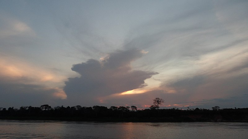 File:Madeira Rainforest river - panoramio (14).jpg