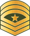 ސާރޖަންޓް މޭޖަރ Saarjant meyjar (Maldives National Defence Force)[29]