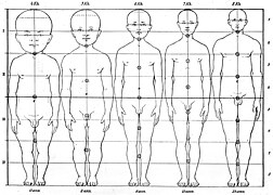 Male figures showing proportons in five ages. Wellcome M0000429.jpg Original, without the penis being oddly censored.