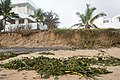 * Nomination Cyclone Mandous makes inroads into the Uthandi beach but the morning glory plants protect most of the beach. Chennai --Tagooty 03:36, 14 December 2022 (UTC) * Promotion  Support Good quality. --XRay 04:38, 14 December 2022 (UTC)