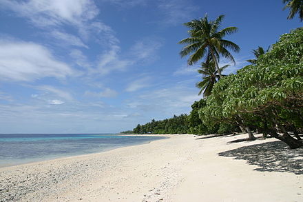 Enoko Island, part of the Majuro atoll. You can rent this for a day or night.