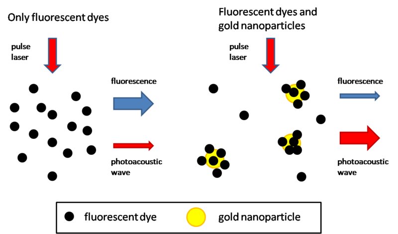 File:Mechanism of enhancement of photoacoustic signal from the mixture of fluorescent dyes and gold nanoparticles.png